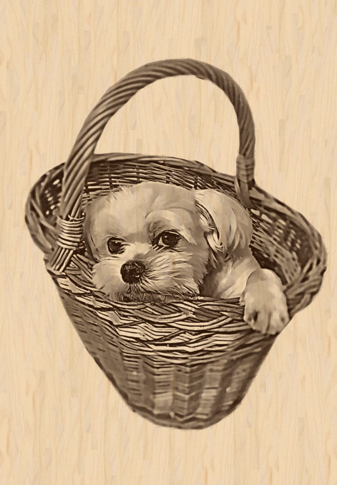 vizualizace, úprava fotky