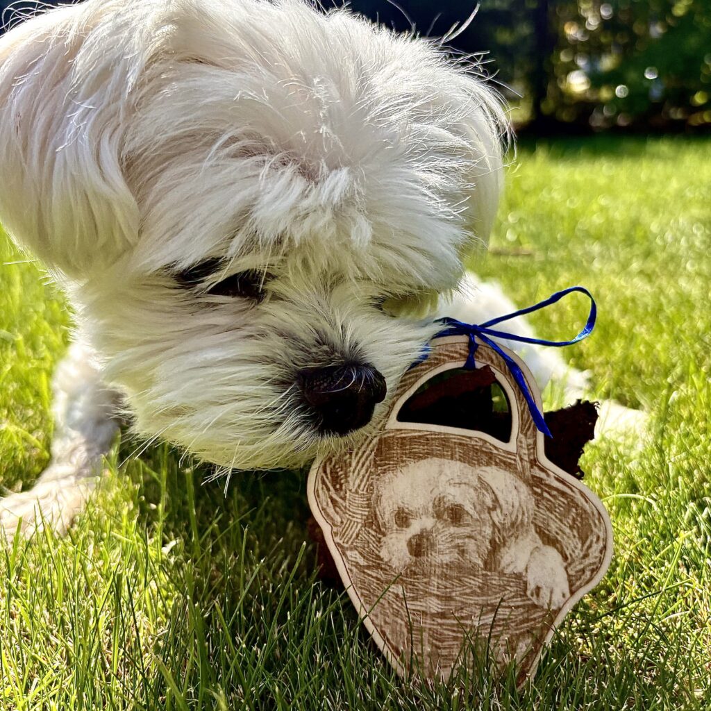 dřevěná magnetka, pes