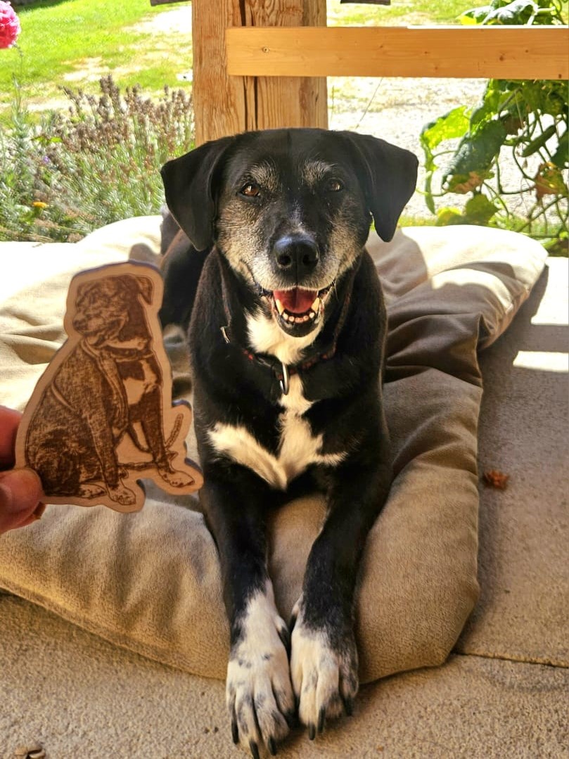 dřevěná magnetka, pes