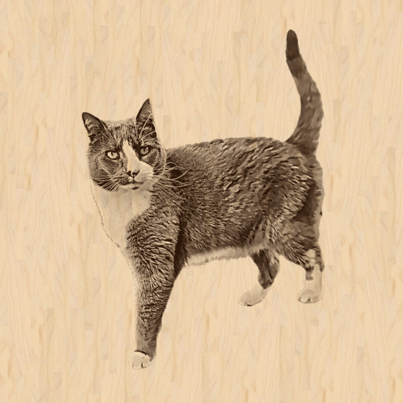 vizualizace, úprava fotky