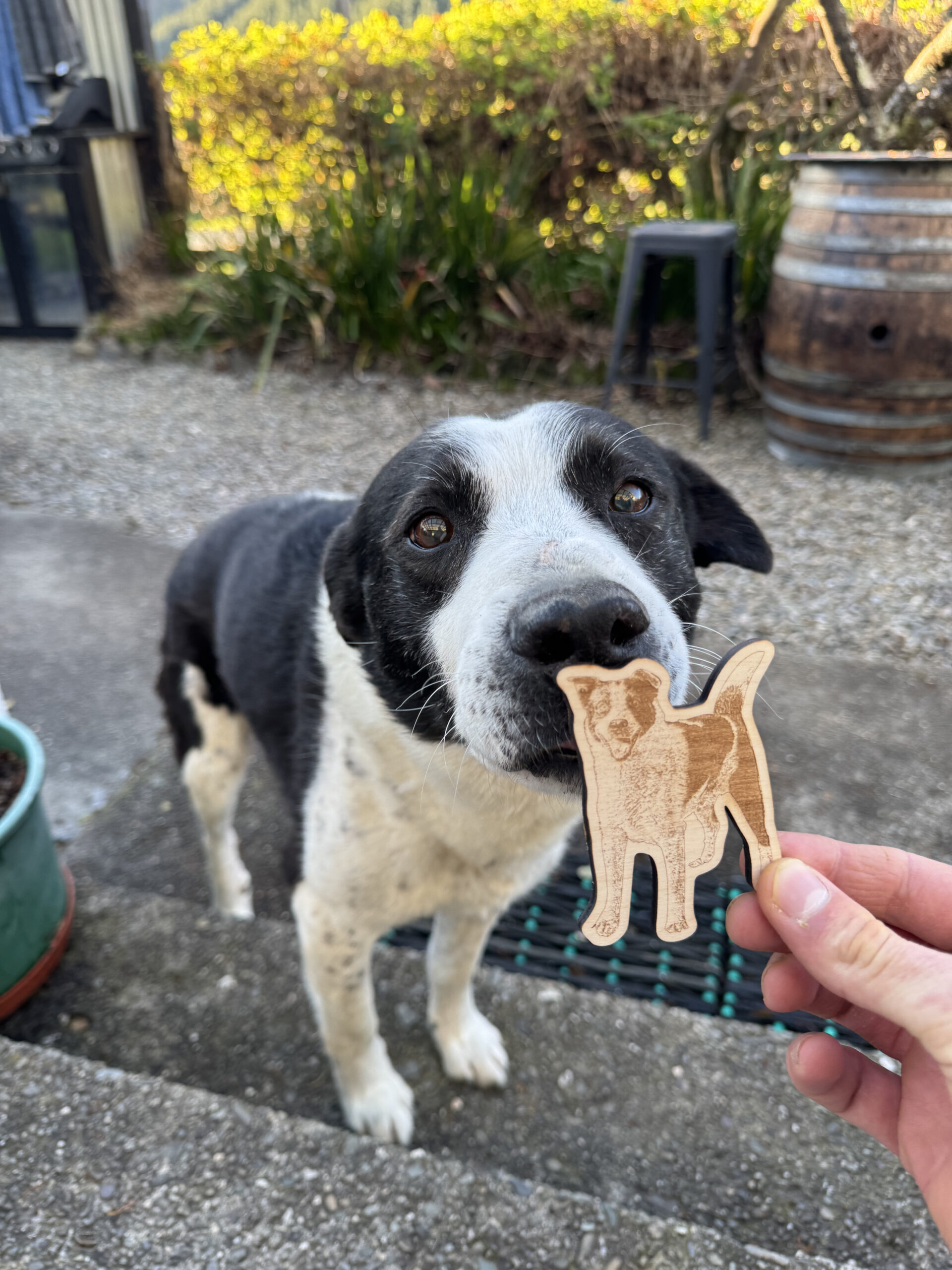 dřevěná magnetka, pes