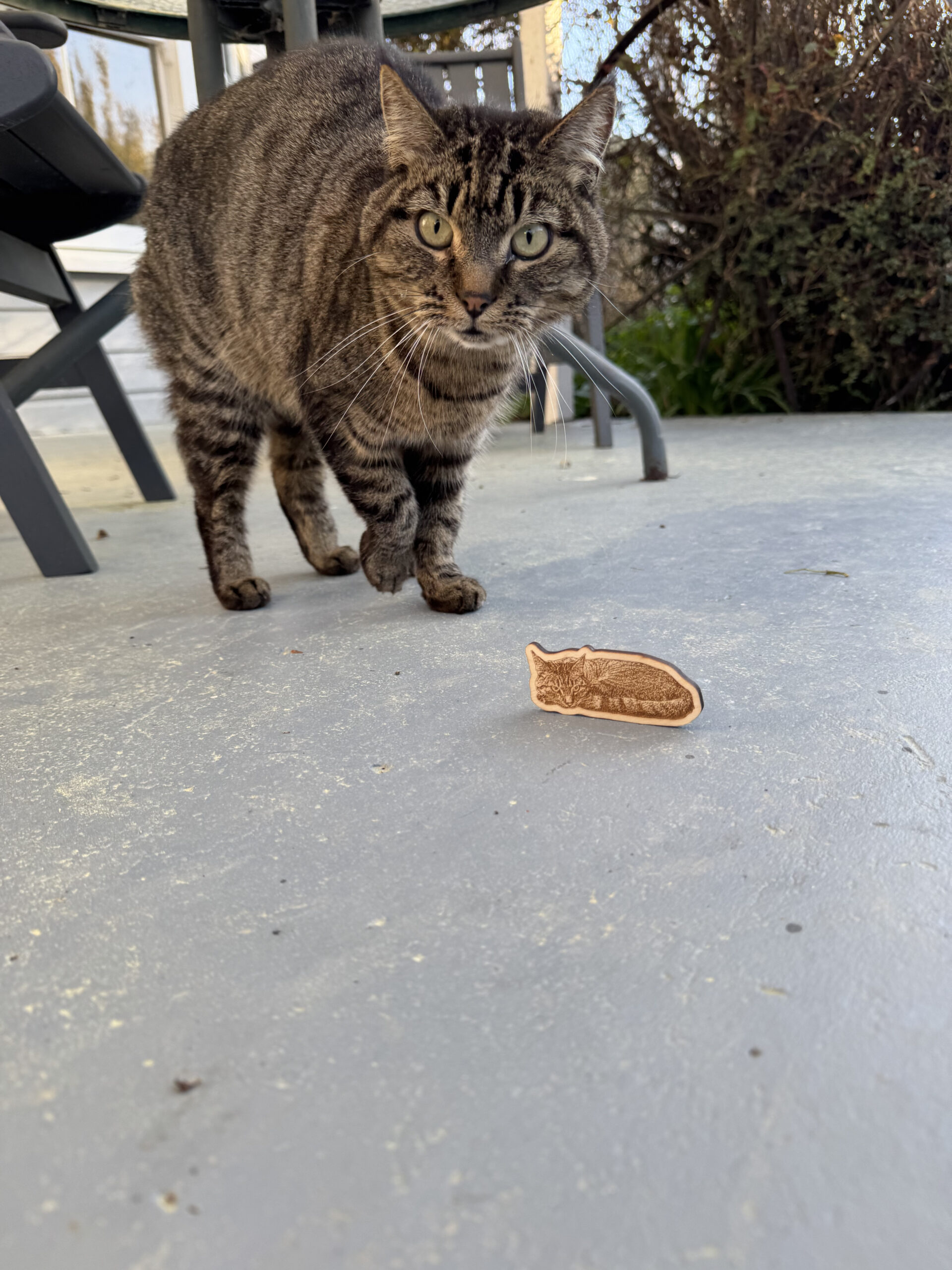 dřevěná magnetka, kočka